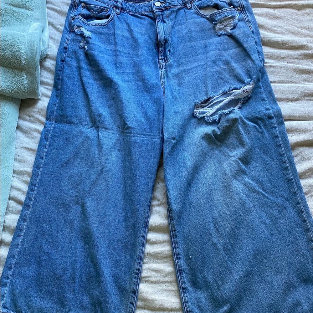 American Eagle Wide Leg Capris